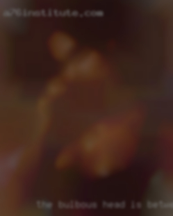 The bulbous head is between girls your fuck cheeks near Elkton.